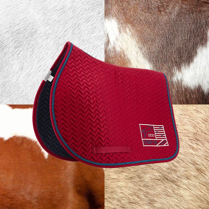 Jump'In - Tapis de selle Show One bordeaux/ marine | - Ohlala