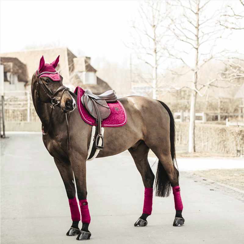 Kentucky Horsewear - Tapis de selle Velvet jumping Fuchsia | - Ohlala