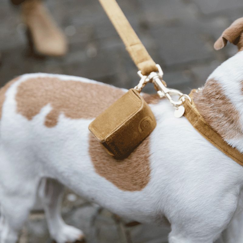 Kentucky Dogwear - Sac à crottes carré velvet moutarde | - Ohlala