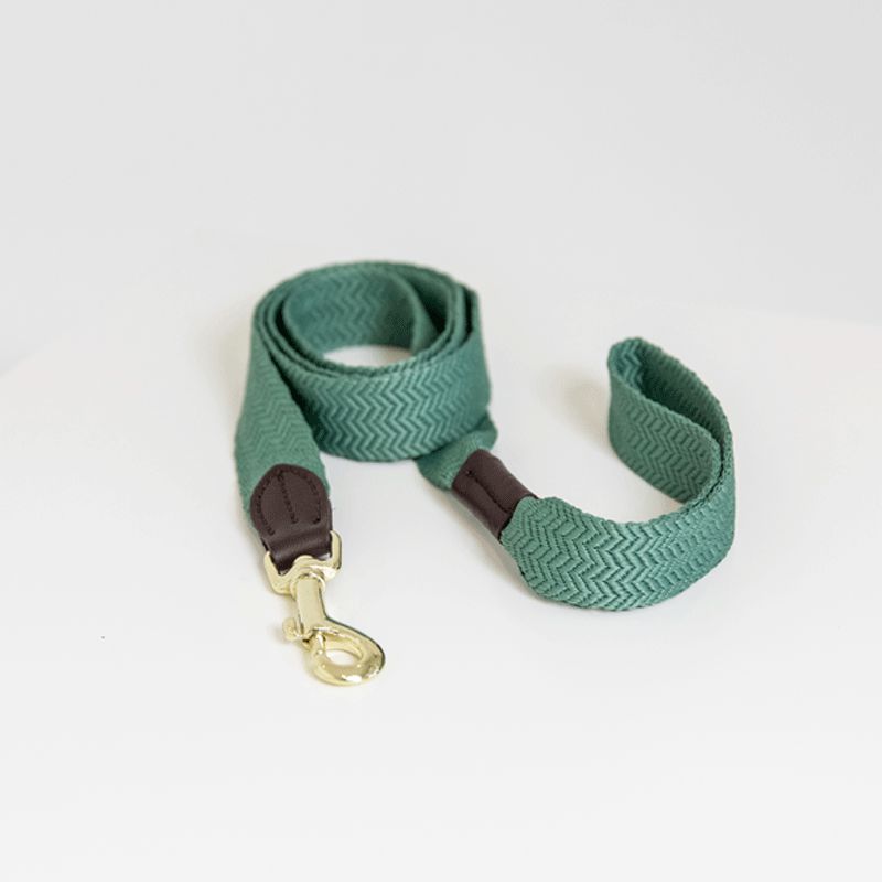 Kentucky Horsewear - Laisse pour chien Jacquard vert olive | - Ohlala