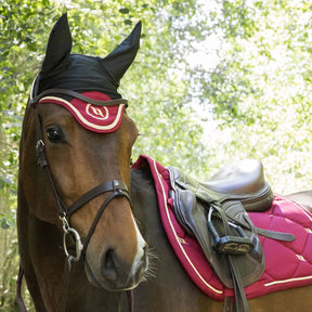 Back On Track - Bonnet pour cheval Night Collection noir/ rouge | - Ohlala