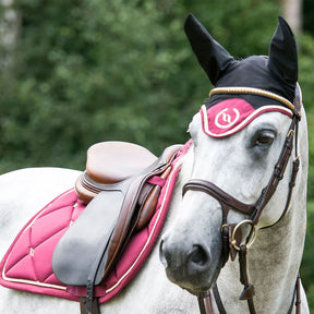 Back On Track - Bonnet pour cheval Night Collection noir/ rouge | - Ohlala