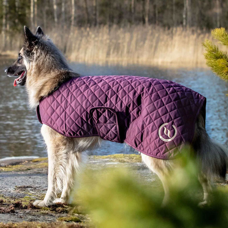 Back On Track - Manteau chien Night bordeaux | - Ohlala