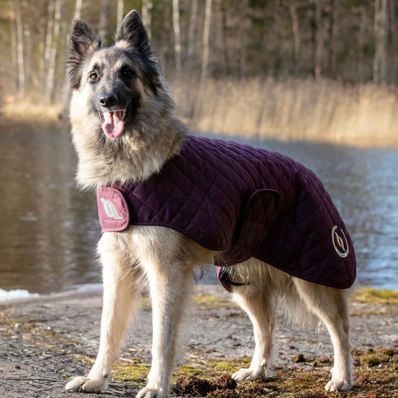 Back On Track - Manteau chien Night bordeaux | - Ohlala