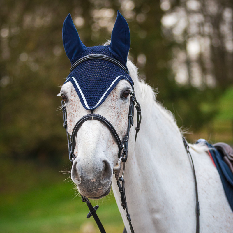 GEM - Bonnet pour chevaux long Ten bleu marine | - Ohlala