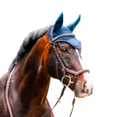 Horseware - Bonnet pour chevaux marine/ bordeaux | - Ohlala