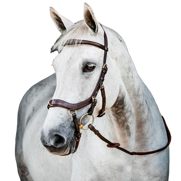 Rambo Micklem Competition Bridle HORSEWARE - Sud Equi'Passion
