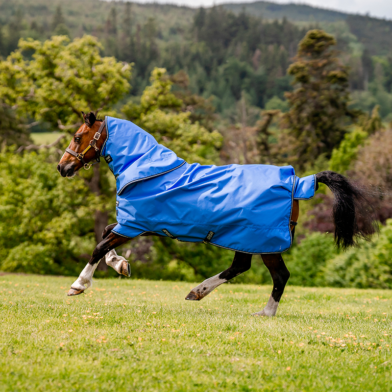 Horseware - Couverture d'extérieur Amigo Hero Ripstop Plus marine/ gris/ bleu 100g | - Ohlala