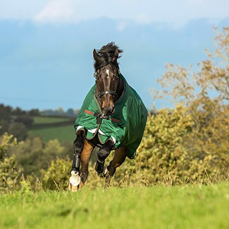 Horseware - Couverture d'extérieur Rambo Original Legs Arches  vert/ rouge 100g | - Ohlala