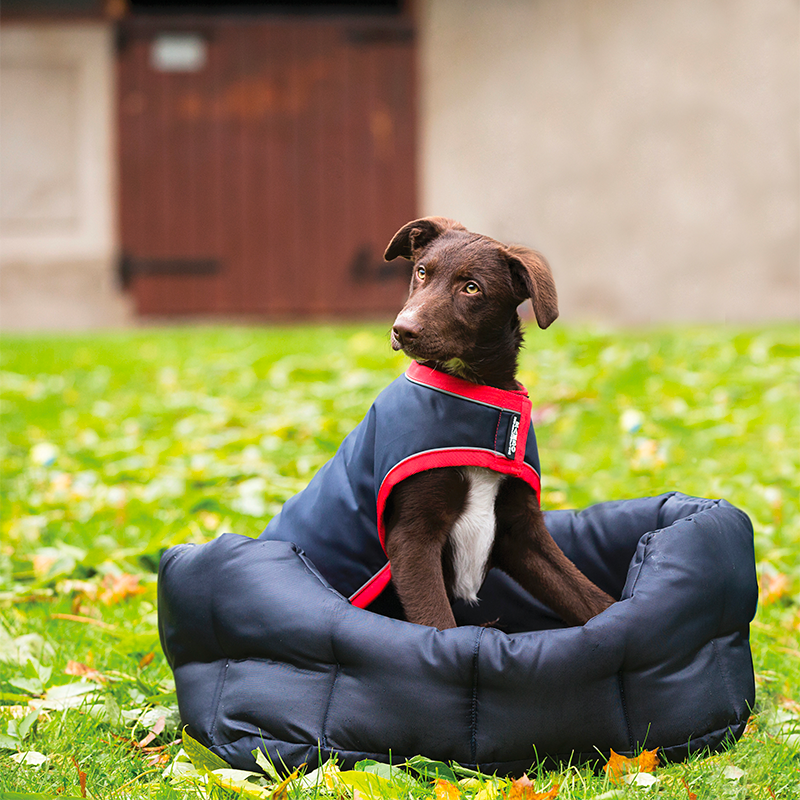 Horseware - Couverture pour chien imperméable Rambo marine et rouge | - Ohlala