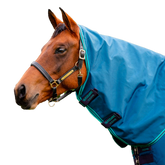 Horseware - Couvre-cou pour couverture Rhino Original Turnout marine/ turquoise 0g | - Ohlala