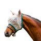 Horseware - Masque anti-mouches Rambo avoine/ vert | - Ohlala