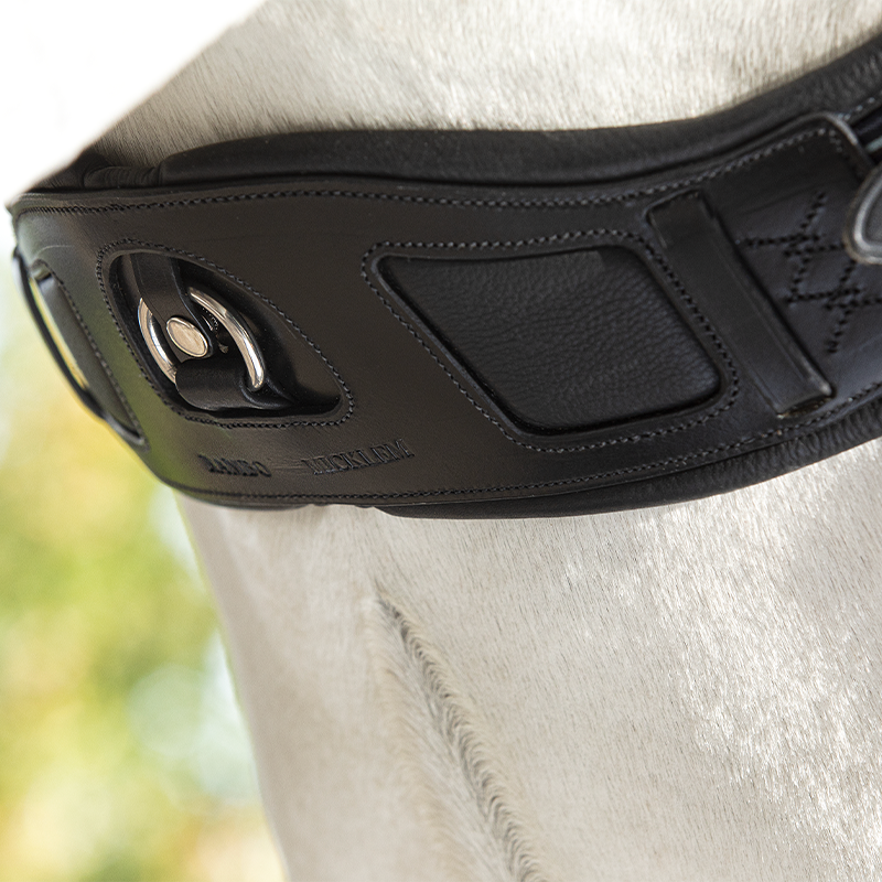 Horseware - Sangle Confort Rambo Micklem courte noir | - Ohlala