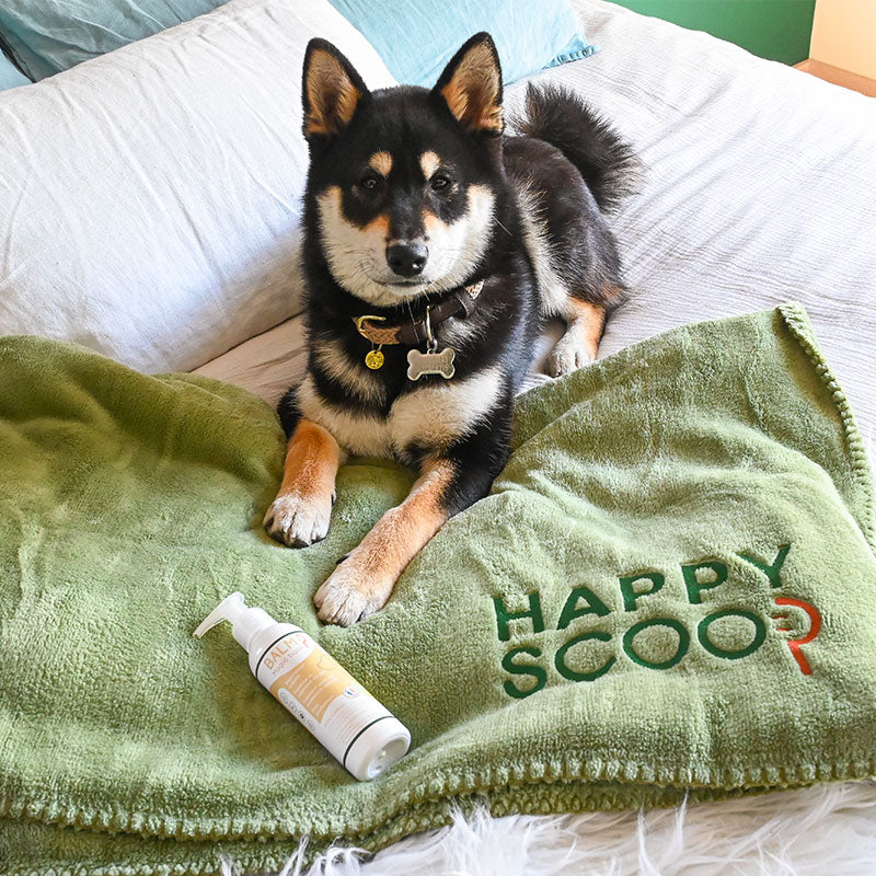 Happy Scoop - Baume multi-usages plaies Balm pour chiens | - Ohlala