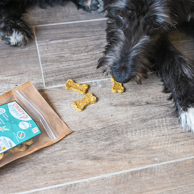 Happy Scoop - Friandises bonne santé digestives crispy Digest pour chiens