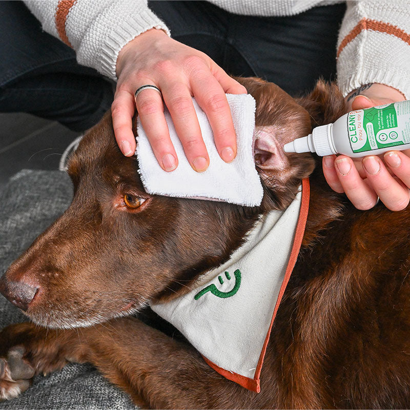 Happy Scoop - Lotion nettoyante oreilles Cleany pour chiens | - Ohlala
