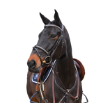Jump'In - Bridon One Premium Clincher noisette | - Ohlala