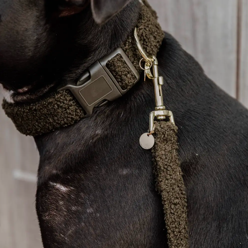 Kentucky Dogwear - Collier pour chien Teddy Fleece vert sapin | - Ohlala