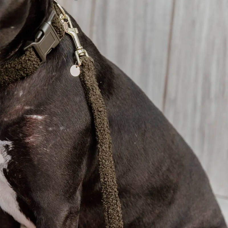 Kentucky Dogwear - Laisse pour chien Teddy Fleece vert sapin 120 cm | - Ohlala