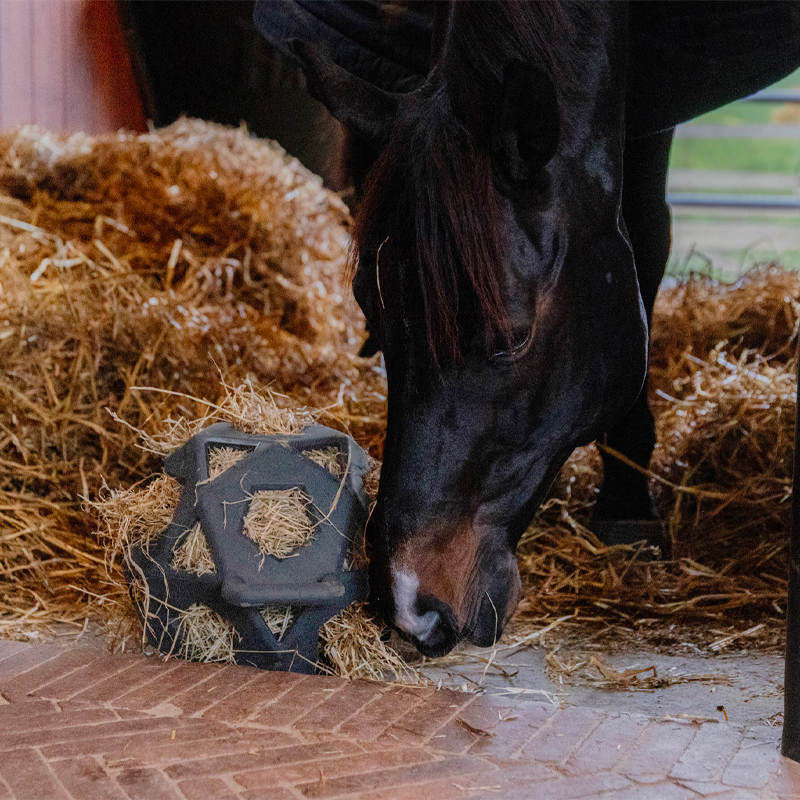 Kentucky Horsewear - Balle de jeu/ foin pour chevaux en caoutchouc noir | - Ohlala