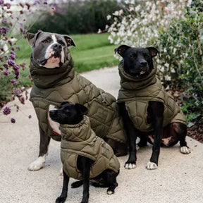 Kentucky Dogwear - Manteau pour chien Pina kaki | - Ohlala