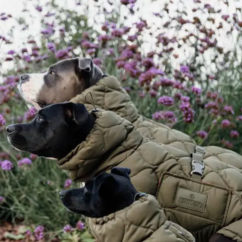 Kentucky Dogwear - Manteau pour chien Pina kaki | - Ohlala