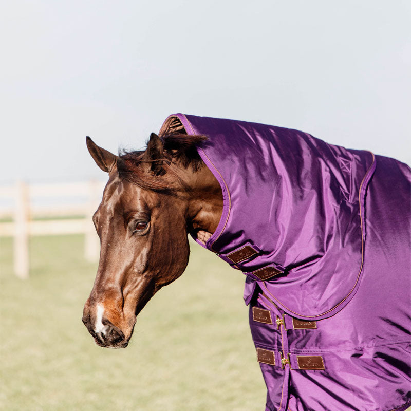 Kentucky Horsewear - Couvre-cou imperméable pro violet 150 g | - Ohlala