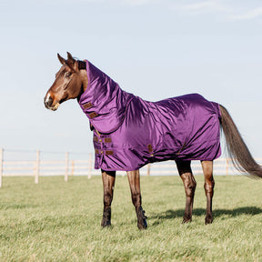 Kentucky Horsewear - Couvre-cou imperméable pro violet 150 g | - Ohlala