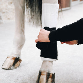 Kentucky Horsewear - Cotons de travail pad absorb noir/ blanc | - Ohlala