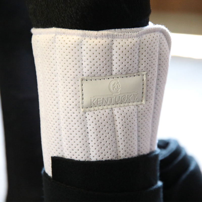 Kentucky Horsewear - Cotons de travail pad absorb noir/ blanc | - Ohlala