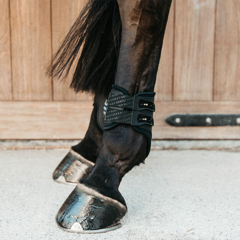 Kentucky Horsewear - Protège boulet élastique haut noir | - Ohlala