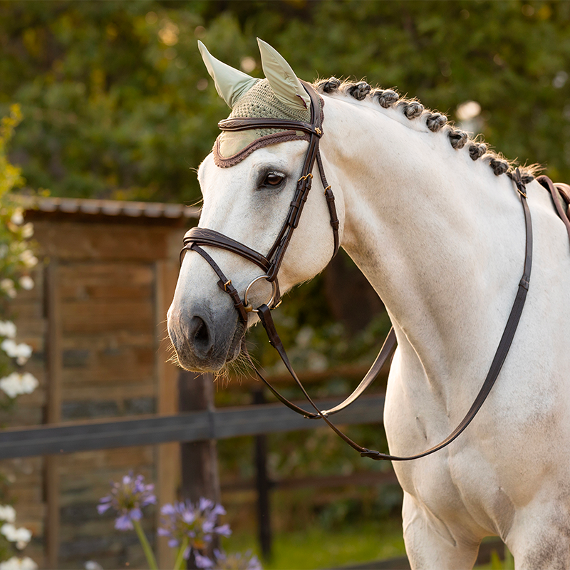 Lemieux - Bonnet pour chevaux anti-mouches Classic fern | - Ohlala