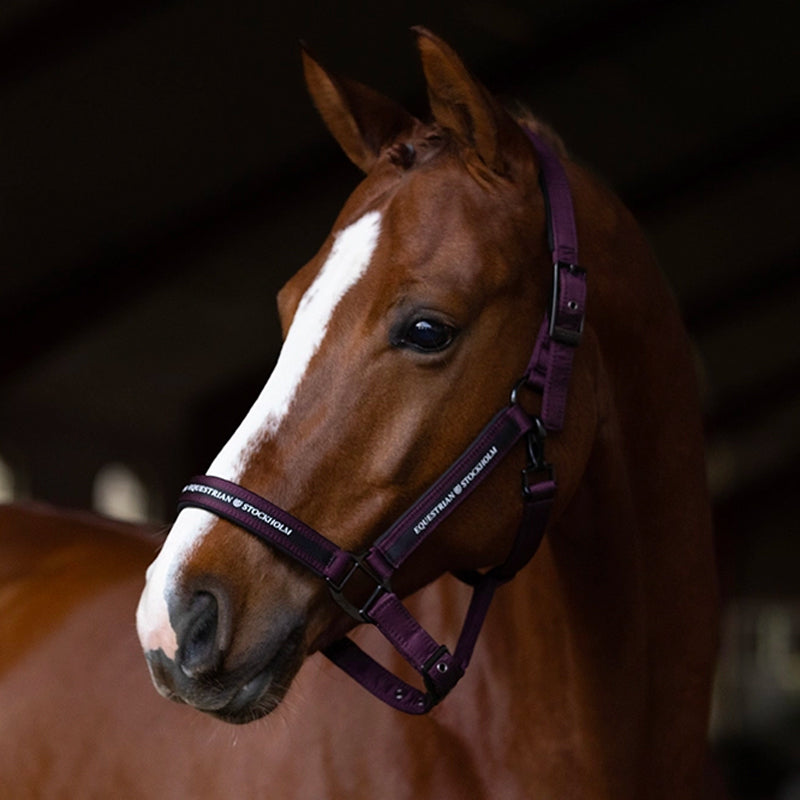 Equestrian Stockholm - Licol et longe Black Raven | - Ohlala