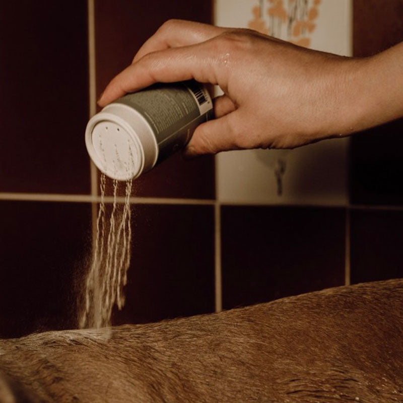 Nellumbo - Shampoing en poudre moussant hydratant pour chiens 50 g | - Ohlala