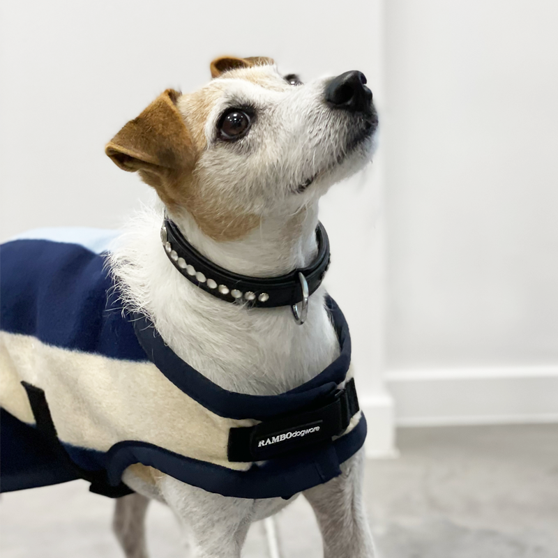 Horseware - Couverture pour chien Rambo Deluxe rayé bleu/ blanc | - Ohlala