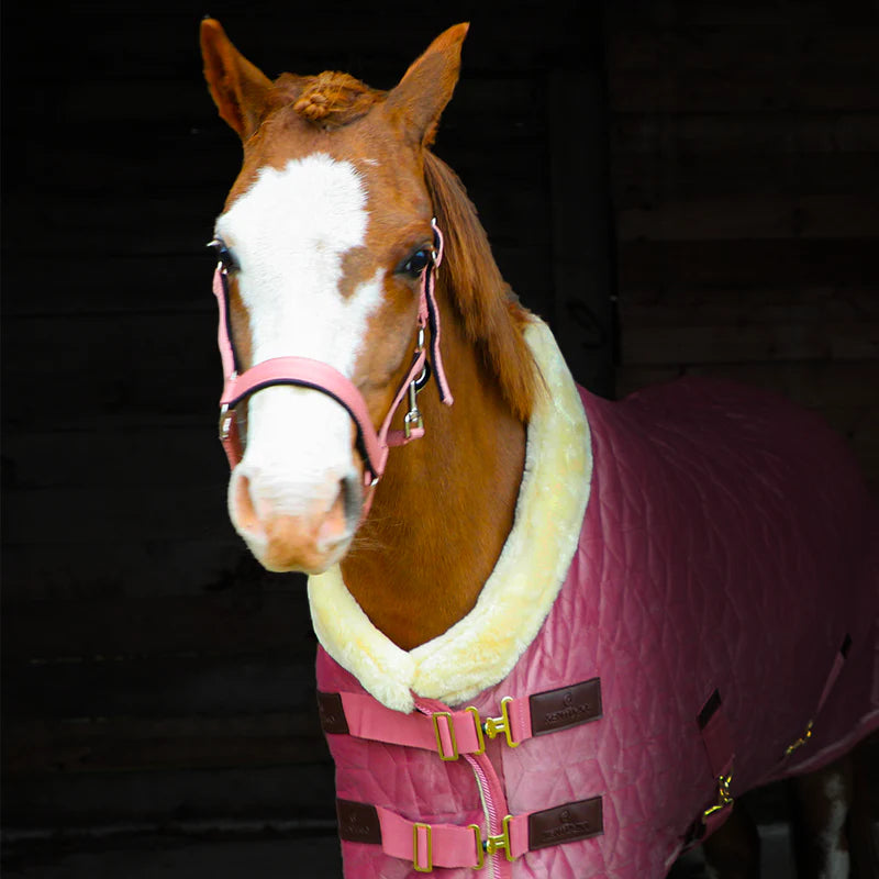 EQUIGEAR Tapis de selle Western Show pour cheval/Couverture EQUIGEAR Tapis de selle Western Show pour cheval/Couverture