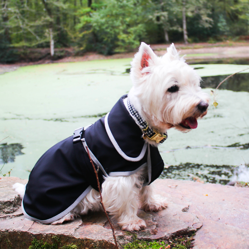 Diego & Louna - Manteau pour chiens softshell | - Ohlala