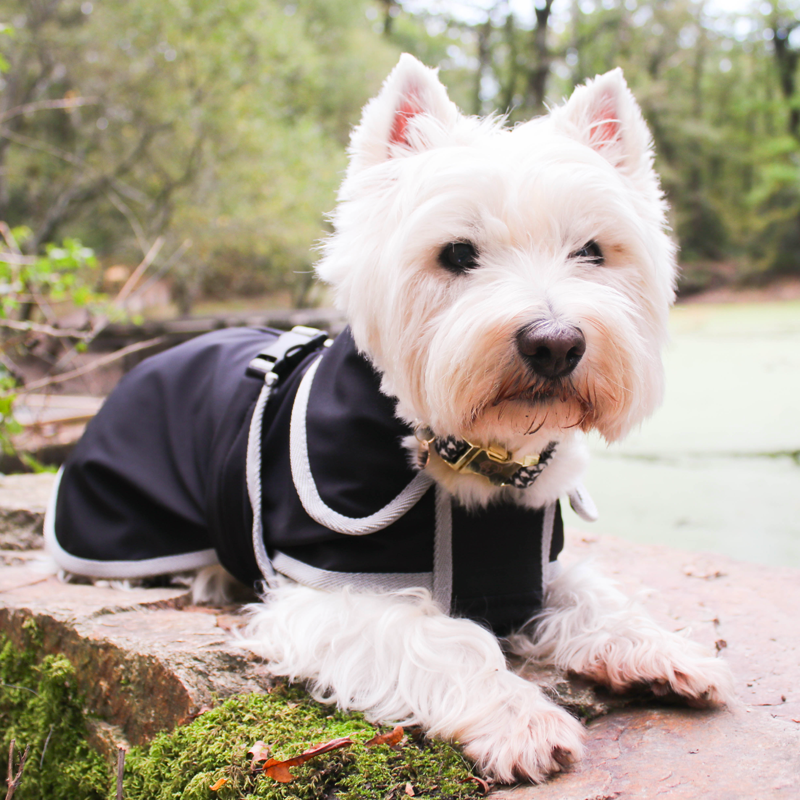 Manteau pour chiens softshell Diego et louna OHLALA
