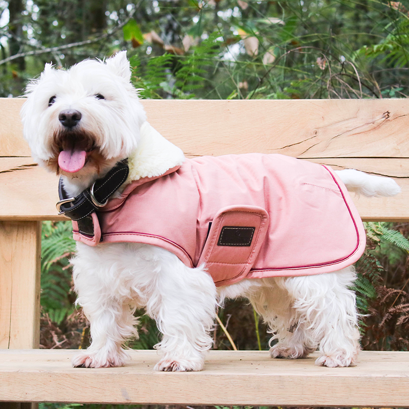 Kentucky Dogwear - Manteau Imperméable Corail | - Ohlala