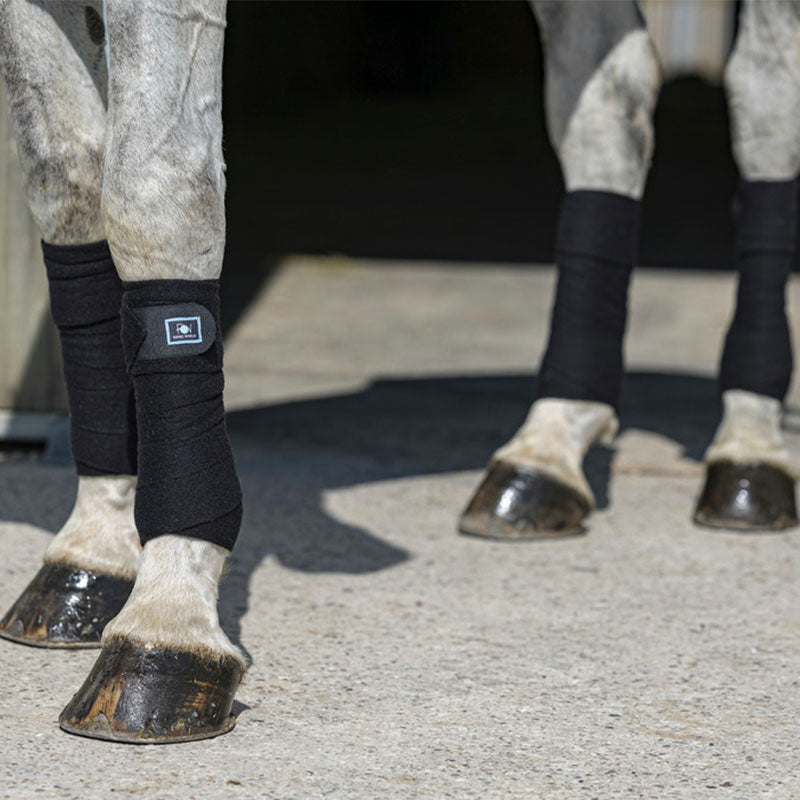 Riding World - Bandes de polo Eco noir | - Ohlala