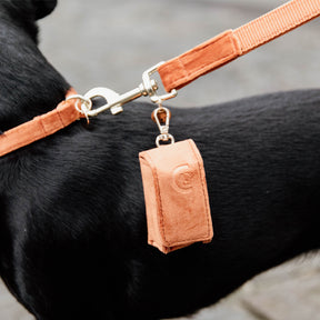 Kentucky Dogwear - Laisse pour chien Velvet 2m orange | - Ohlala