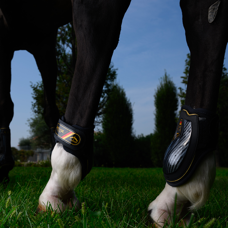 Veredus - Protège-boulets jeunes chevaux Absolute Carbon Gel Aachen Edition noir | - Ohlala