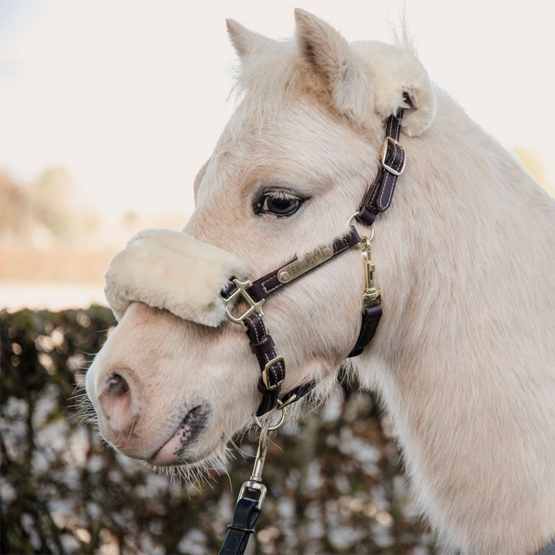 Kentucky Horsewear - Licol en cuir mouton pour Minis | - Ohlala