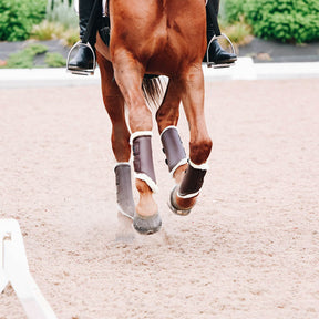 Kentucky Horsewear - Guêtres cheval Turn Out cuir antérieurs marron | - Ohlala