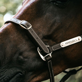 Kentucky Horsewear - Licol en cuir synthétique flexible | - Ohlala