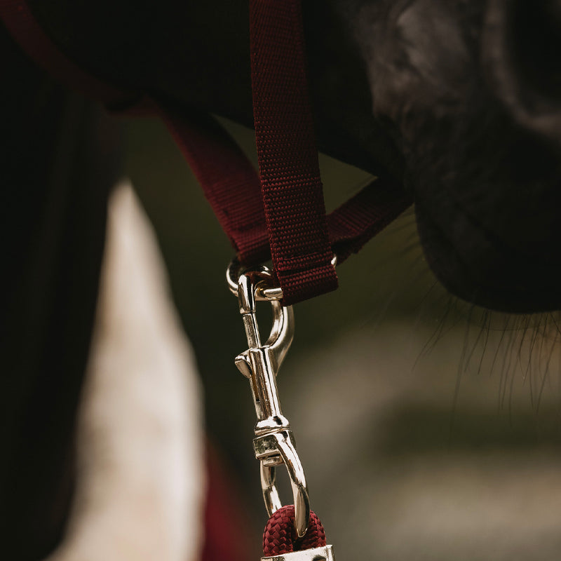 Longe cheval nylon tressé 2 m Basic - Kentucky Horsewear - KENTUCKY  HORSEWEAR - Longes d'attache - Equestra