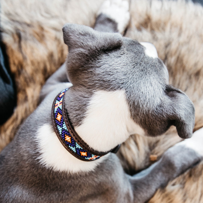 Kentucky Dogwear - Collier pour chiens perles faites main bleu | - Ohlala