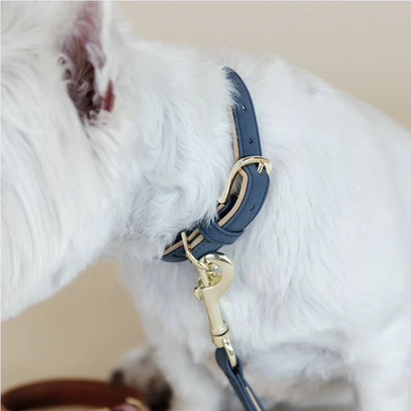 Kentucky Dogwear - Collier pour chien vegan leather navy/beige | - Ohlala