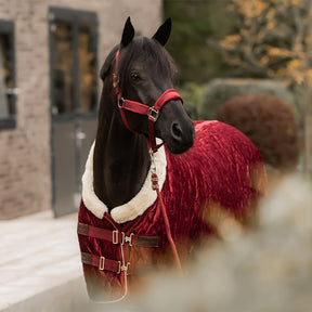 Kentucky Horsewear - Longe nylon 2m bordeaux | - Ohlala