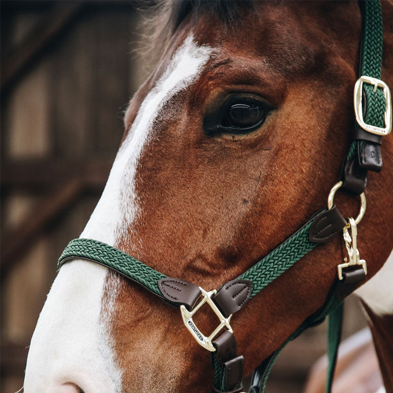 Kentucky Horsewear - Licol cheval nylon tressé vert olive | - Ohlala